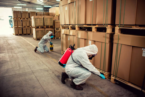 Best Emergency Pest Control  in Kalispell, MT
