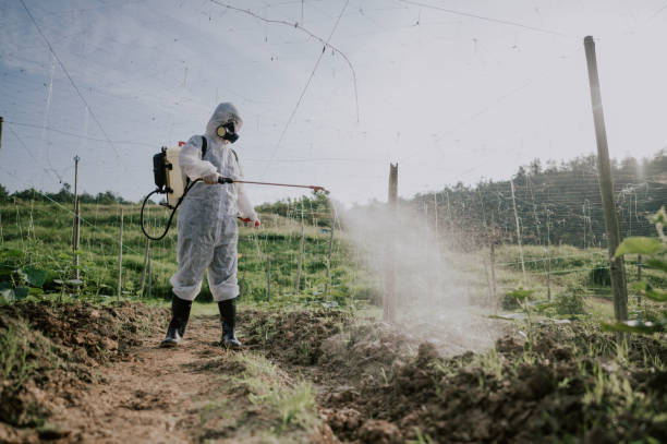 Best Best Pest Control Companies  in Kalispell, MT