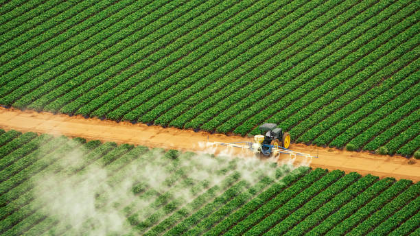 Best Mosquito Control Services  in Kalispell, MT